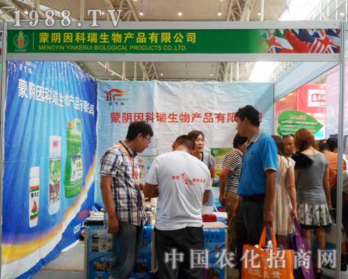 �����������õ�12���½��r(n��ng)�Y����������