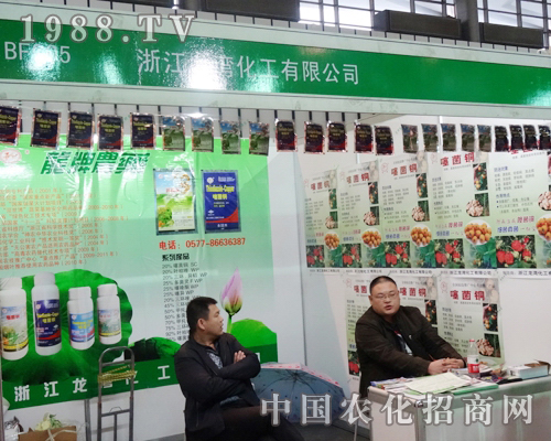 ����������2013�Ͼ�ֲ�����ו��Ͼ�������