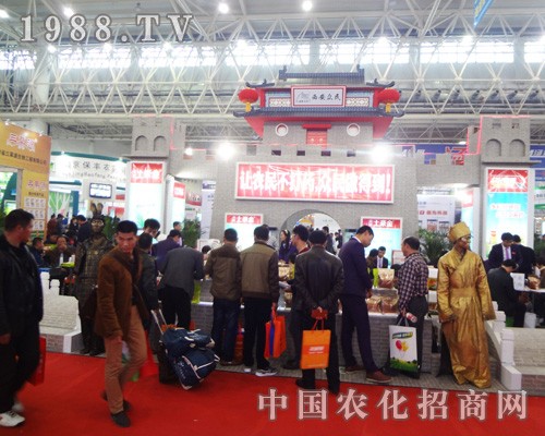 ���������đ��(chu��ng)���������ʮ��ȫ��ֲ����