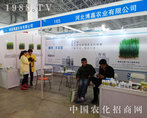 ���Ξ�2015�ӱ�ֲ�����������