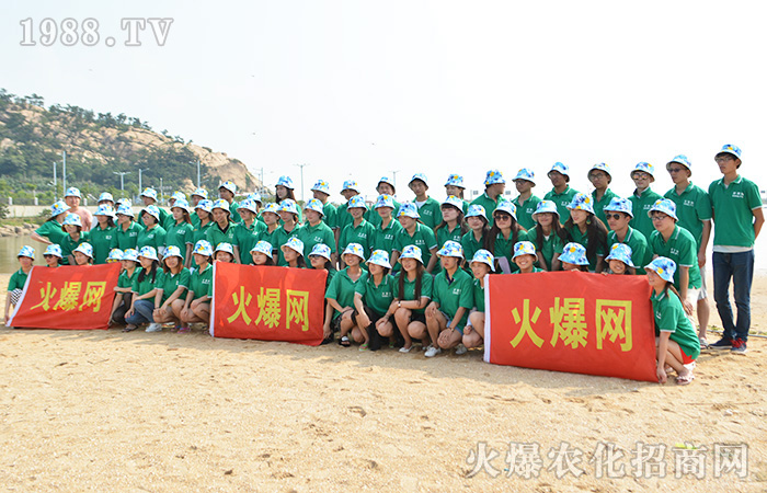     �B�Ƹ����������ܴ󺣵��|�