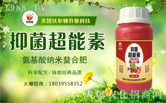 �������֠��D����ף�������옷���f��������