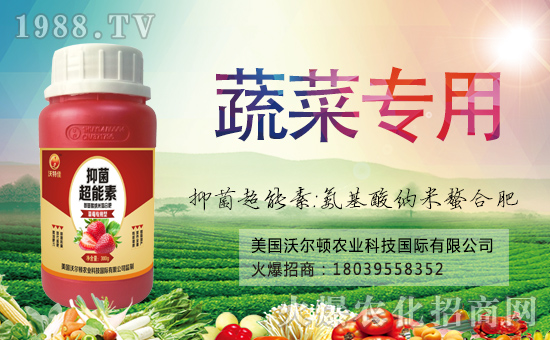 �������֠��D����ף�������옷���f��������