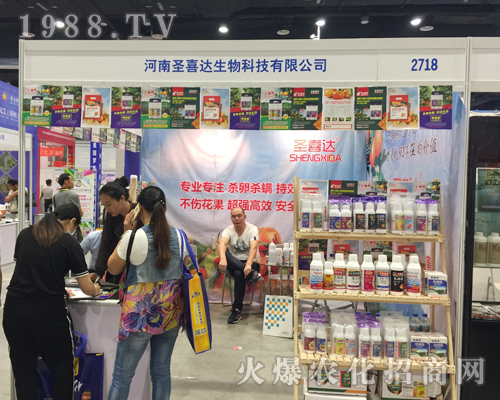 ʥϲ�_��������2017�ό��r�Y��