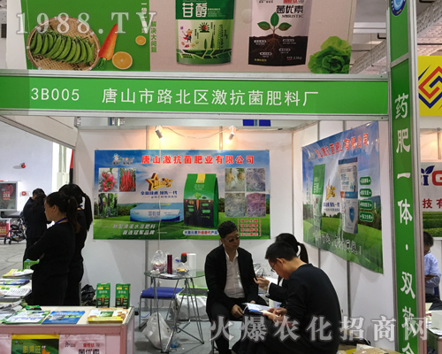 ����������2017ɽ�|����ֲ������������