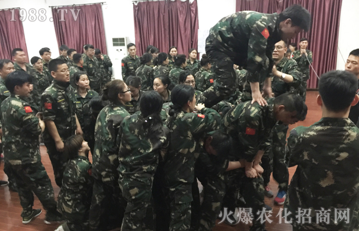 ��Ҫ�M��������ֻҪȫ���Ը���