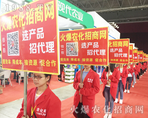 ��ʮ�Č������r���[��