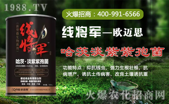 ���W�~˼��ȫ�w�T����ףȫ�����N�����w���������꼪����