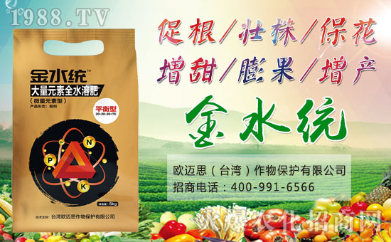 ���W�~˼��ȫ�w�T����ףȫ�����N�����w���������꼪����