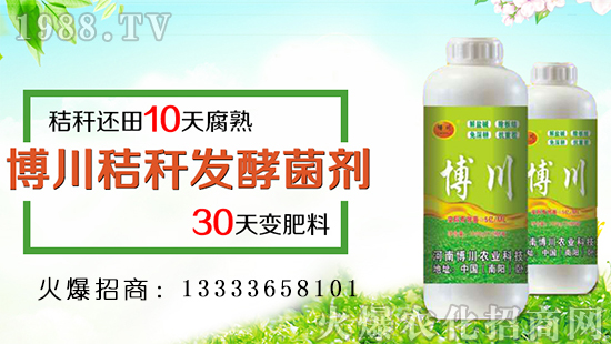 �������r�I(y��)��������ף�������옷���f�����⣡