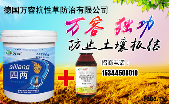 ����(gu��)�f(w��n)�ݡ�ȫ�w�T����ףȫ��(gu��)��(j��ng)�N�����w����������l(f��)��ؔ(c��i)��