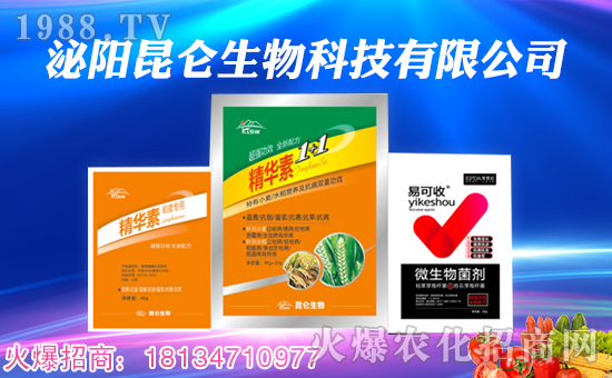 ���������ף��ҹ��������������t�t�����