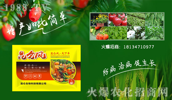 ���������ף��ҹ��������������t�t�����