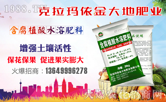 �����طʘI(y��)��ף������µ�һ���������³����f��������