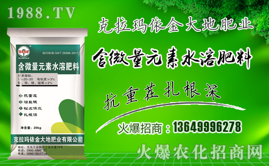 �����طʘI(y��)��ף������µ�һ���������³ɣ��f��������