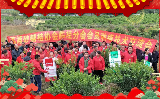 ���P�L�����ףȫ�����ѹ���󼪣��f��������