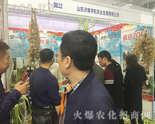 ɽ�|��(j��)����r(n��ng)�I(y��)��2018ɽ�|��(j��)��ֲ�����ו����@����