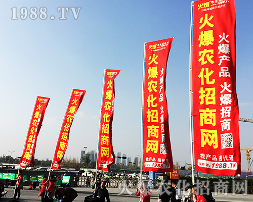 ����ʮ�Č�ȫ��ֲ���������r(n��ng)�����̾W(w��ng)�L��ȫ����