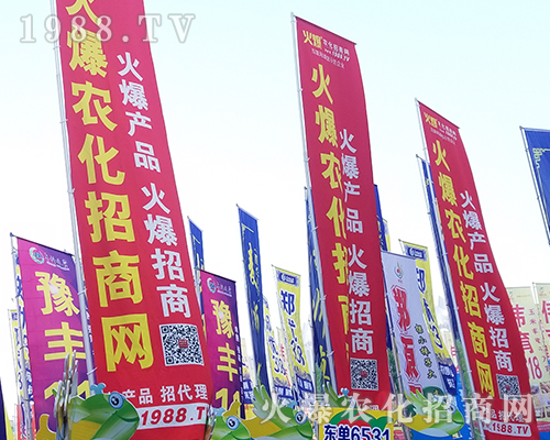     �ڶ�ʮһ�������r(n��ng)ˎ��(hu��)����r(n��ng)���W(w��ng)ȫ���������̹���