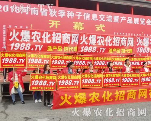     �ڶ�ʮһ�ú����rˎ�����r���˰���ͦ��