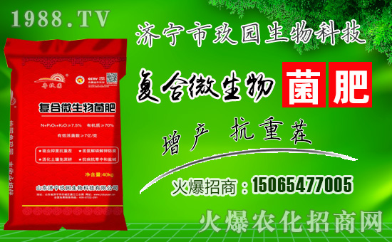 �����@���ףһ·�߁������т����w���������������