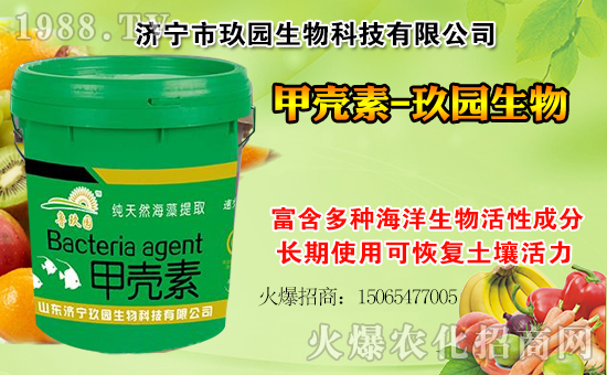 �����@���ףһ·�߁������т����w���������������