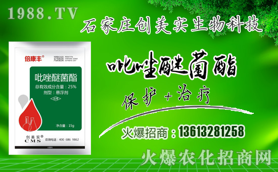 ����(chu��ng)�������ףȫ���������µ�һ���﹤�����������������