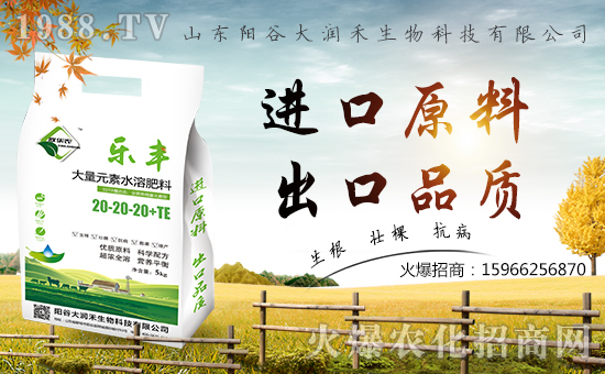 ����(r��n)�����ףȫ��(gu��)��(j��ng)�N(xi��o)������A�M���⣬�������������