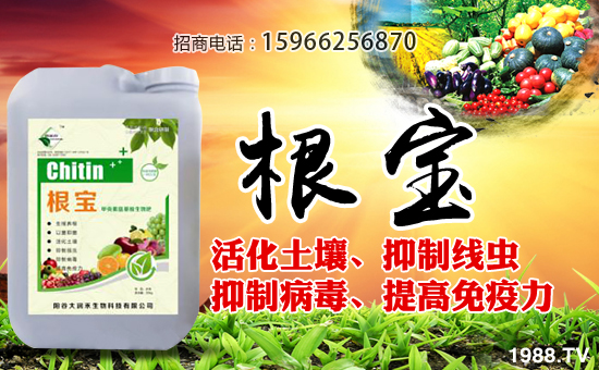 ����(r��n)�����ףȫ��(gu��)��(j��ng)�N(xi��o)������A�M���⣬�������������