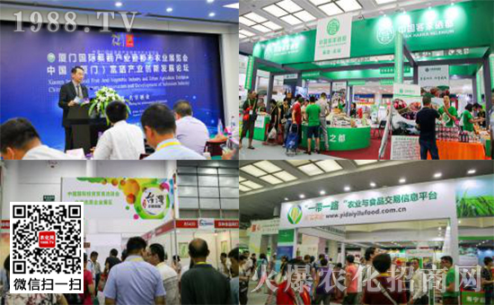 2018�B�T����չ