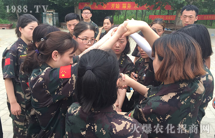 ���������ģ��ƵZǰ�С�Ӗ(x��n)���I(y��ng)��Ӗ(x��n)�w��(hu��)