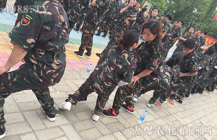 �������������ƵZǰ�С�Ӗ(x��n)���I(y��ng)��Ӗ(x��n)�w��(hu��)