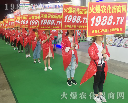 2018�����r(n��ng)�Y��(hu��)��1988.TV������������(sh��)���ɓ�