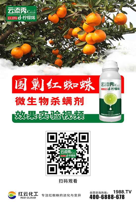 ���t�ƻ�����ף���ٸ��R�T�����������������´���