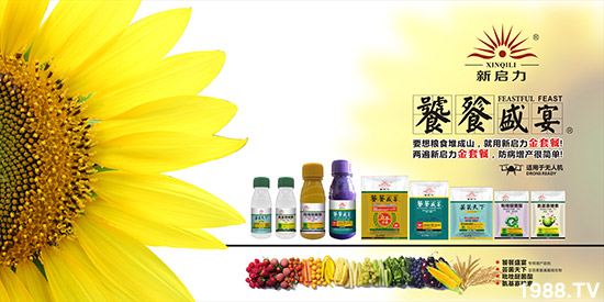     ���V��������ף������µ�һ�������w�������f��������