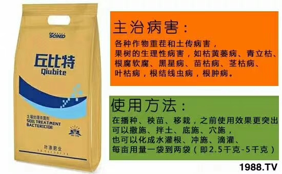 ��ʩ���_(d��)����ף������w�������H���Ҹ����i�����