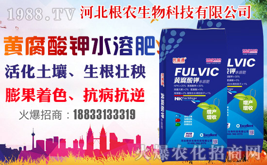 �����r(n��ng)�����ף������������옷�����꼪����