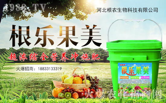 �����r(n��ng)�����ף������������옷�����꼪�飡