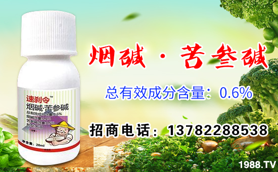 ����(bi��o)�R�r(n��ng)�I(y��)����ף��λ��(j��ng)�N(xi��o)���������w���������������