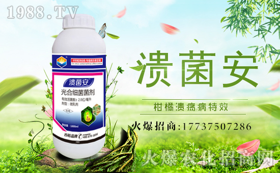 ����ԣ�r(n��ng)�I(y��)��ף������µ�һ�������w�������f��������