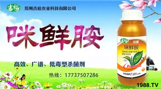 ����ԣ�r(n��ng)�I(y��)��ף������µ�һ�������w�������f��������