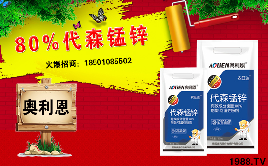 ����(gu��)�W������ף������µ�һ���﹤�����������������