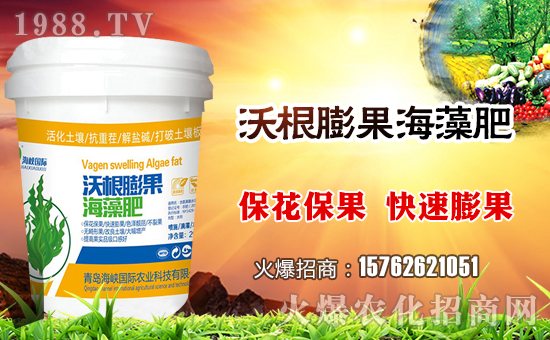 �����{��Ұ��ףȫ�������i��󼪣��f��������