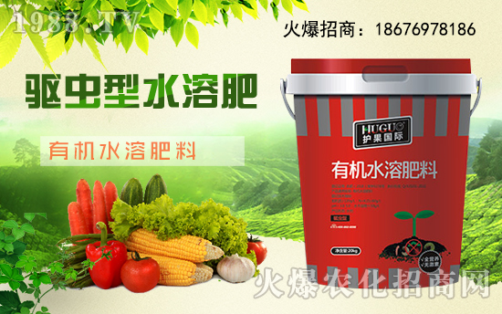 ���o(h��)�����H��ȫ�w�T��ף�V���r(n��ng)�Y���т�����(ji��)������Ҹ����M��