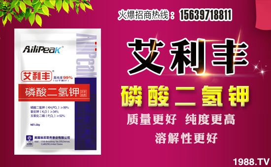 ���Խ�r(n��ng)�I(y��)��ף������µ�һ����ؔ�\�L�L������������