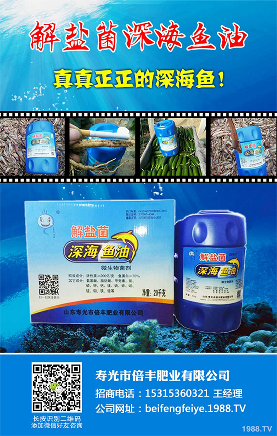 ���۹ⱶ�S�ʘI(y��)��ף��������µ�һ�����_(k��i)��󼪣��f(w��n)��������