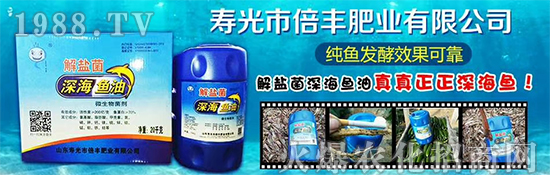 ���۹ⱶ�S�ʘI(y��)��ף��������µ�һ�����_(k��i)��󼪣��f(w��n)��������