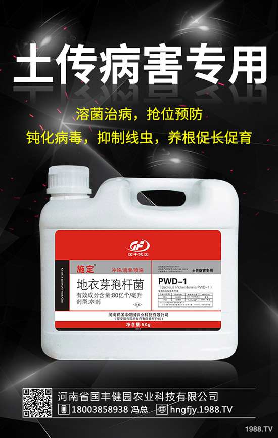 С�����݄�ʲô�r���ã�С������݄��ĕr�g��ע�������