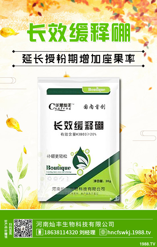 ���X�ݺ��~�X����ʲô��ͬ�����X�ݺ��~�X�ݵą^(q��)�e��Щ��