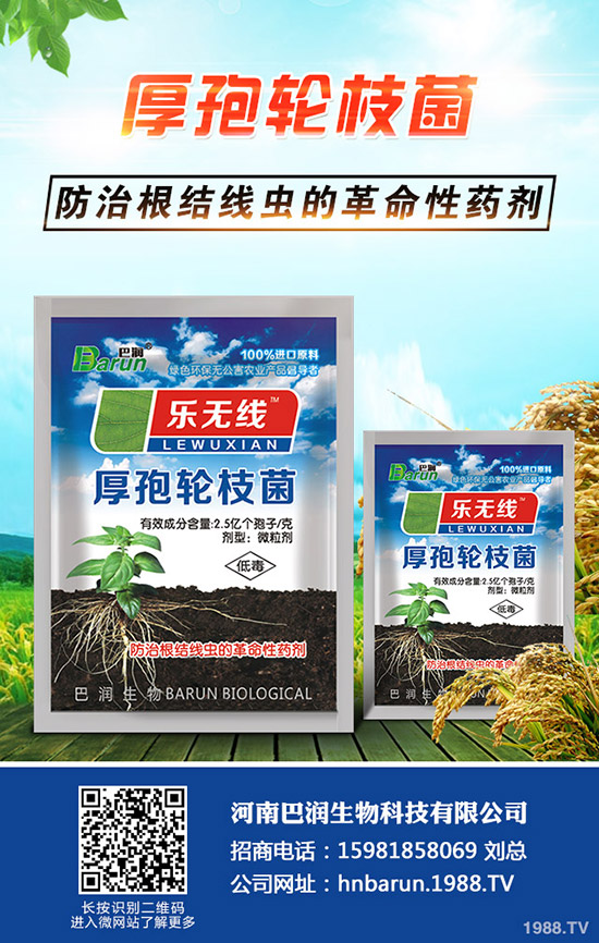 三角梅怎么養(yǎng)，三角梅的養(yǎng)殖方法和注意事項(xiàng)！